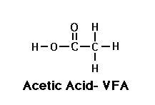 Acetic acid Acetic Acid