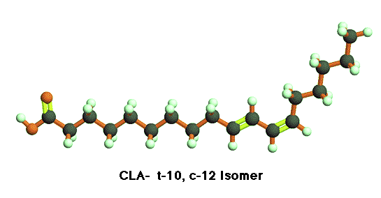 CLA1012 t10c12CLA