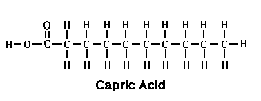 CapricAcid Capric Acid