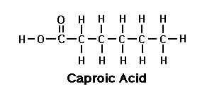 Caproic Caproic Acid