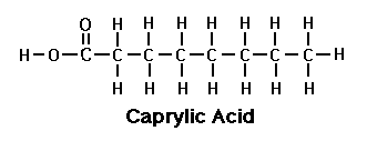 Capric acid structure