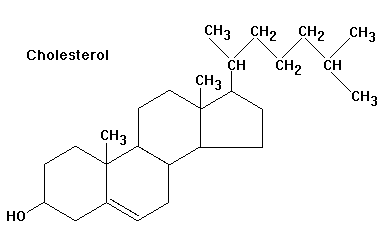 Cholesterol2.gif