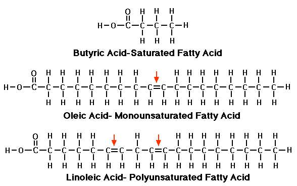 saturated fats portrayal
