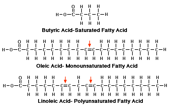 FatTrioGIF Saturated, Mono and Polyunsaturated fats