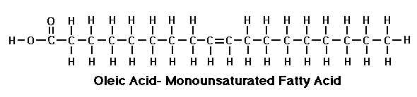 oleic acid outline