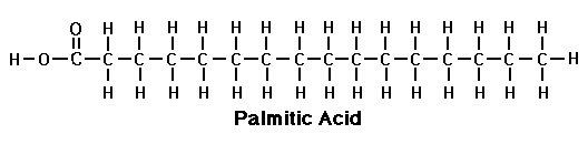 Palmitic Palmitic Acid