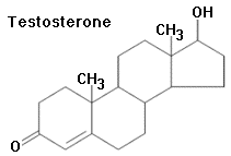 Proviron e testosterone